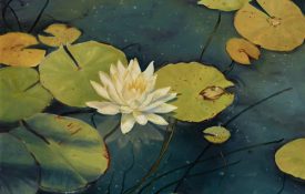 Sandy Fisher Fine Art