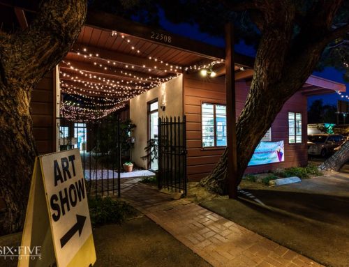 Santa Clarita Artists Association