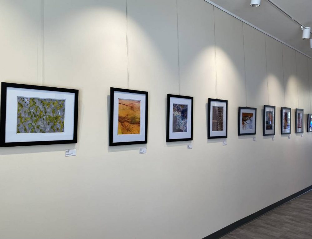 First Floor Gallery Santa Clarita Arts