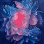 blue and purple flower opening up