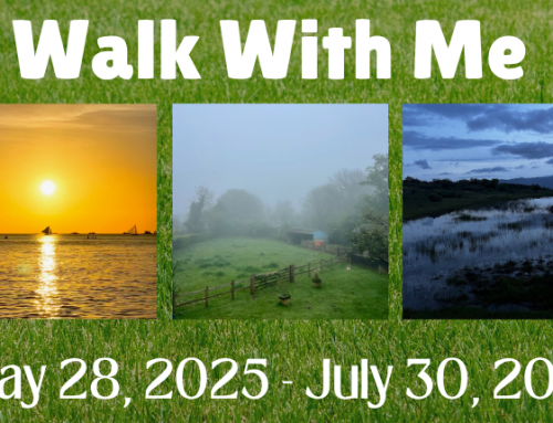 Walk with Me