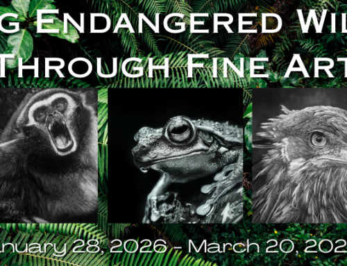 “Saving Endangered Wildlife Through Fine Art” Exhibit