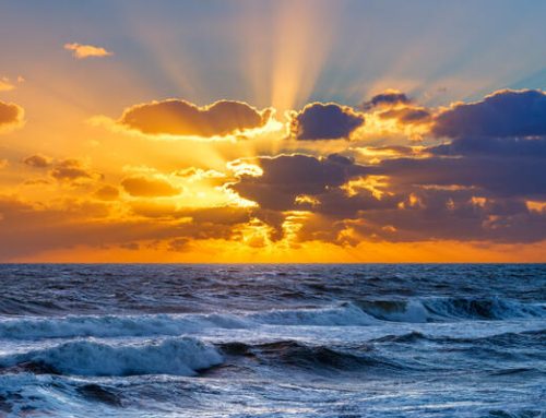 “Seascapes” Exhibition