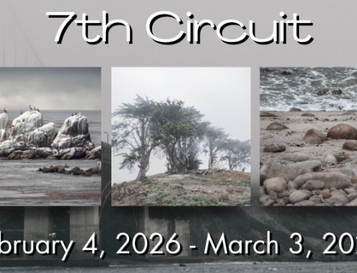 “7th Circuit” Exhibition