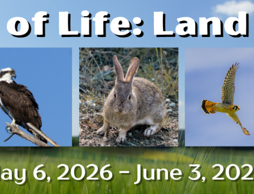 “Circle of Life: Land to Sea” Exhibition