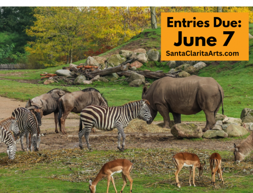 Animal Kingdom Group Exhibition Form