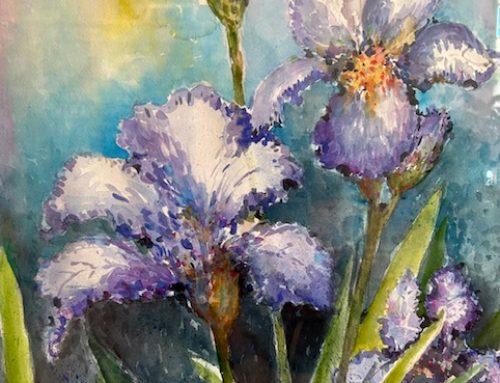 “Nature’s Narratives” Solo Exhibition