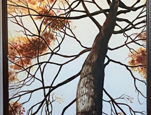 “Lookout Point, Wishes, Mute Reflections” Solo Exhibition