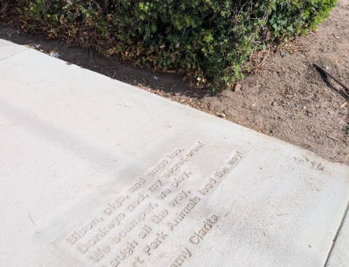 The 2026 Sidewalk Poems Have Been Installed!